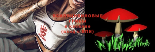 ECSTASY Балахна