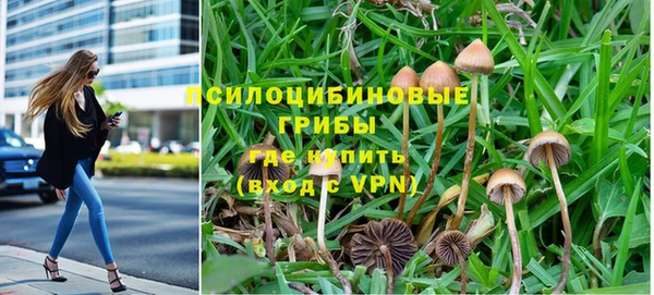 винт Баксан