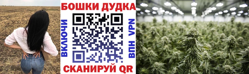 МАРИХУАНА LSD WEED ссылка на мегу онион Красноперекопск